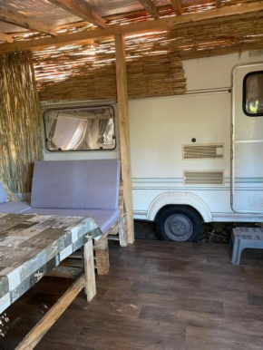 Forest Beach Caravan